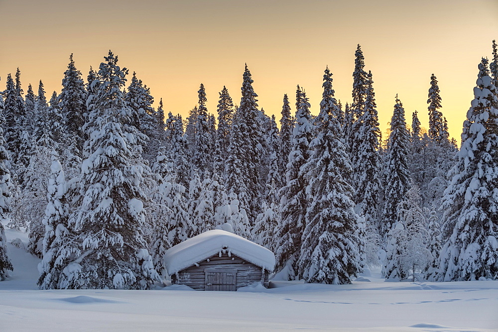 Snow-covered hut in winter landscape, morning atmosphere, Pallastunturi, Pallas-Yllästunturi National Park, Muonio, Lapland, Finland, Europe