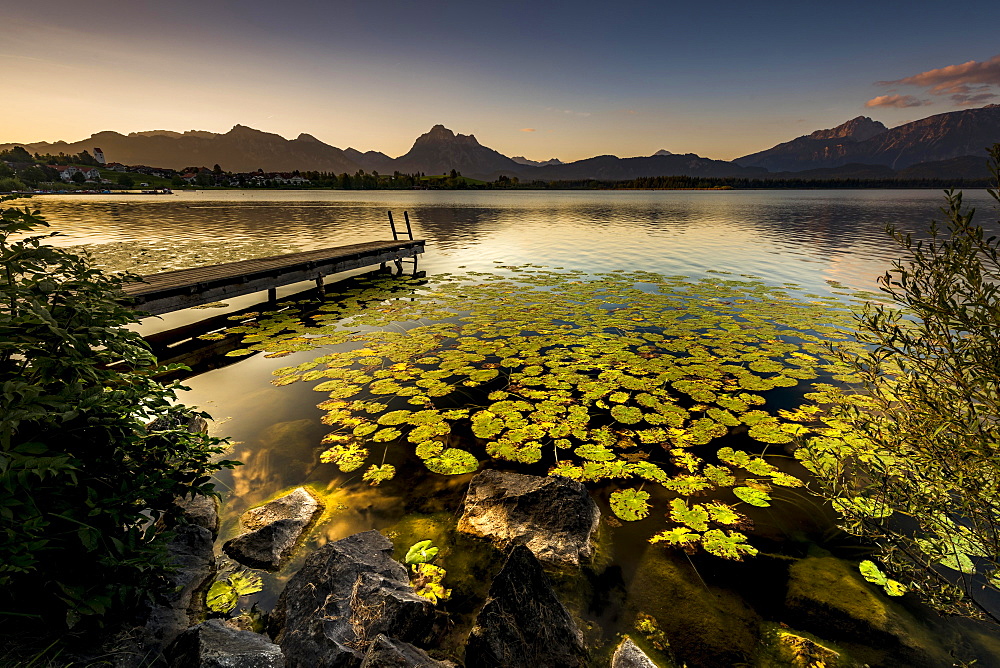 Dock at mountain lake with lily pads (Nymphaea), Allgäu Alps at back, sunrise, Hopfensee, Hopfen am See, Ostallgäu, Bavaria, Germany, Europe