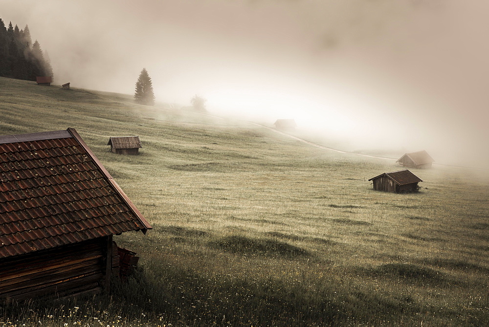 Small cabin on mountain meadow in the fog, Kaltenbrunn, Upper Bavaria, Germany, Europe