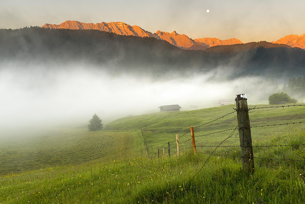 Pasture fence on mountain meadow with small cabin in the fog, Kaltenbrunn, Upper Bavaria, Germany, Europe