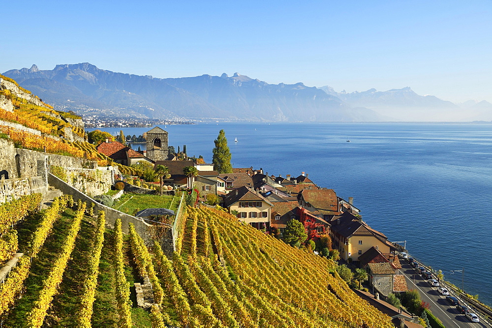 Vineyards in autumn, view of Lake Geneva and winegrowing village Saint-Saphorin, Lavaux, Canton of Vaud, Switzerland, Europe