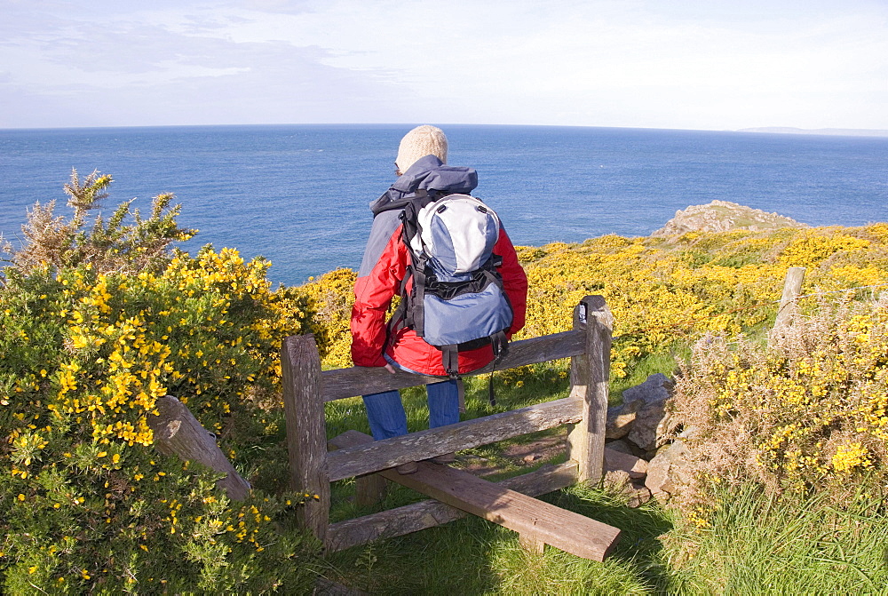 Hiker sitting on a stile, looking out over the sea, coast, Pembrokeshire National Park, Wales, United Kingdom, Europe