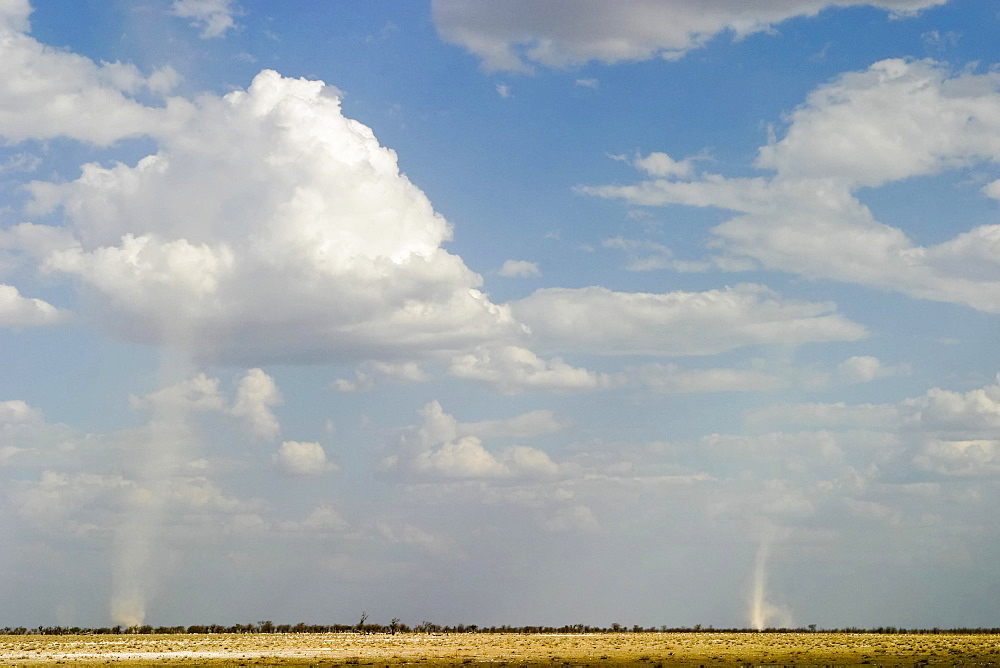 Dust devils, Etosha National Park, Namibia, Africa