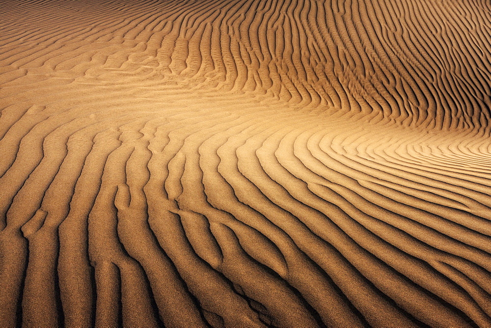 Dunes of Maspalomas, Dunas de Maspalomas, structures in the sand, nature reserve, Gran Canaria, Canary Islands, Spain, Europe