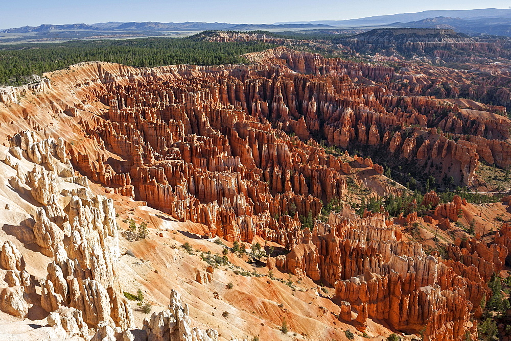 View of Bryce Amphitheater from Inspiration Point, coloured rock formations, fairy chimneys, morning light, Bryce Canyon National Park, Utah, USA, North America