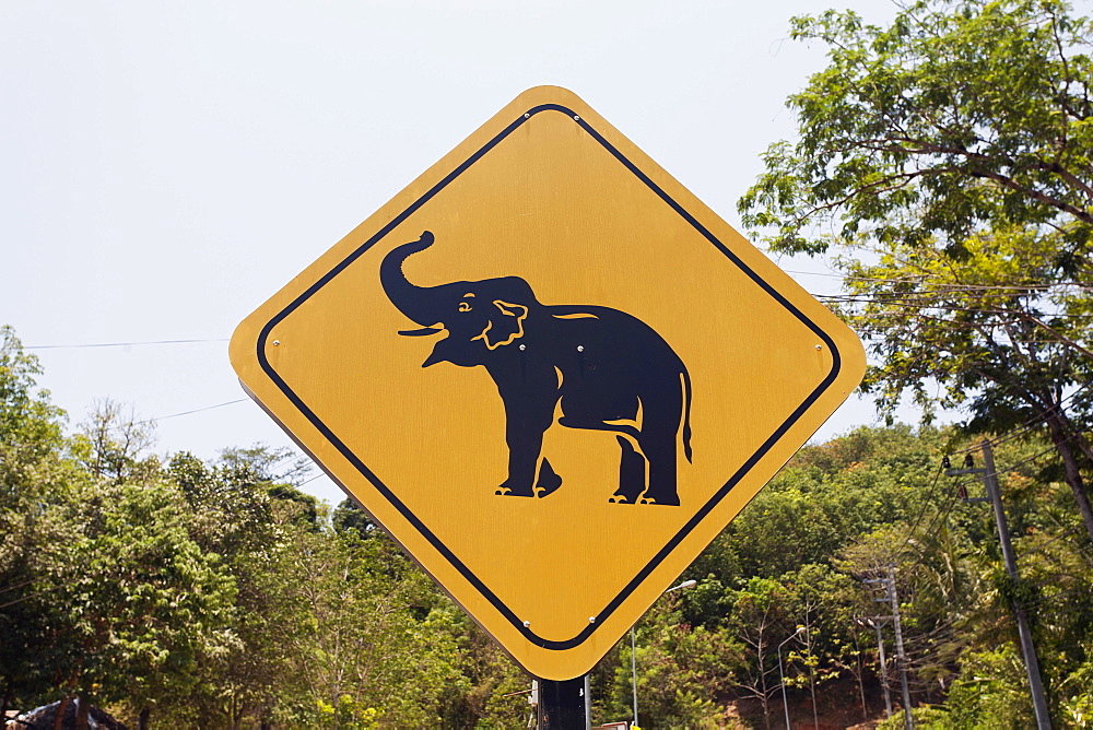 Road sign caution elephants, elephant camp, Phuket Province, Thailand, Asia