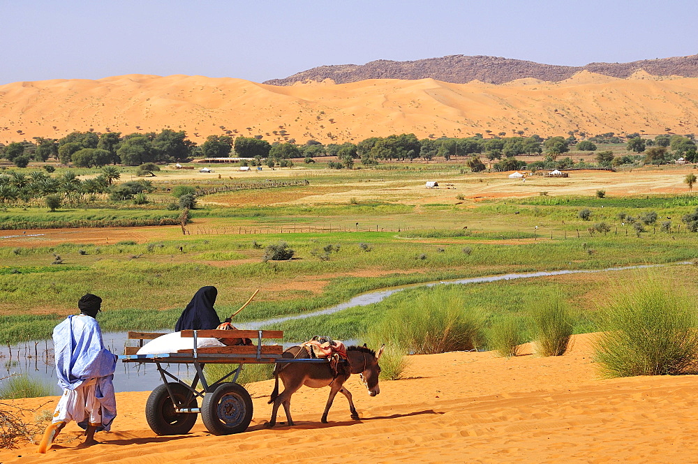 Donkey cart being pushed through the soft sand, Moudjeria, Tagant region, Mauritania, Africa