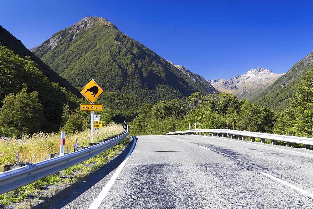 Warning sign, "Kiwis next 4km" at Greyneys Creek, looking towards Mt. O'Malley, 1703m, and Mt. Oates, 2041m, Canterbury Region, New Zealand, Oceania