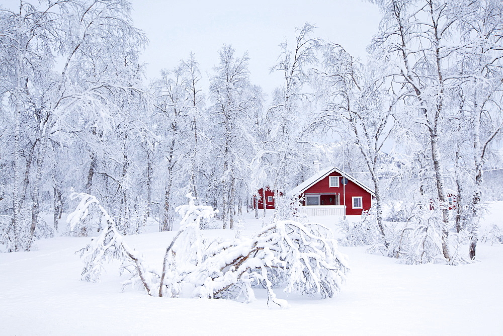 Red cottage in winter, Lodingen, Lofoten, Norway, Europe