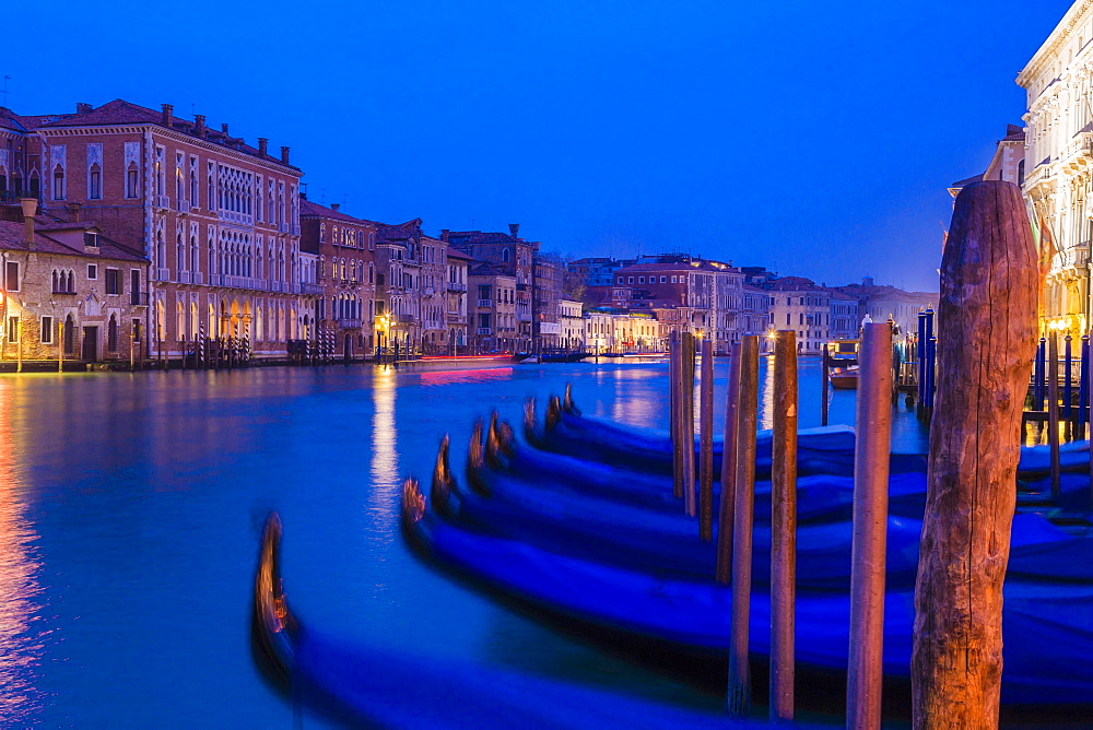 Grand Canal with gondolas at the blue hour, Venice, Italy, Europe