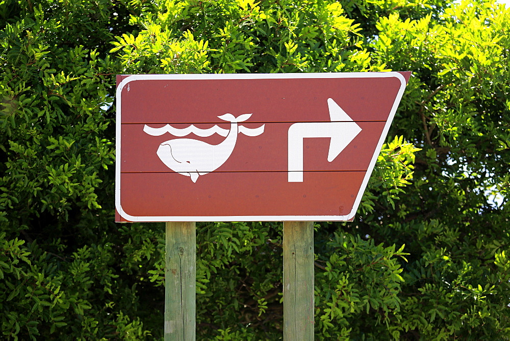 Direction sign, whale watching, Betty's Bay, Western Cape, South Africa, Africa