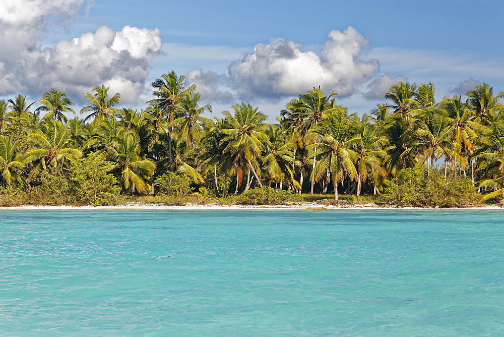 Dream beach, sandy beach with palm trees and turquoise sea, cloudy sky, Parque Nacional del Este, island Saona Island, Caribbean, Dominican Republic, Central America