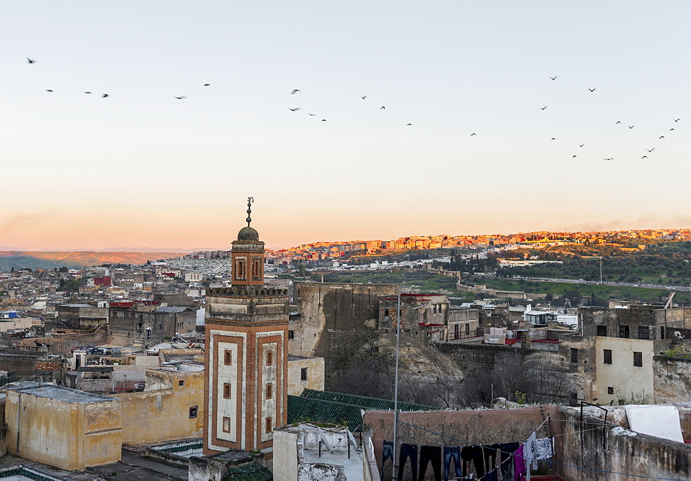 View of the old town, mosque with minaret, sunset, Fes-Boulemane, Fez, Morocco, Africa