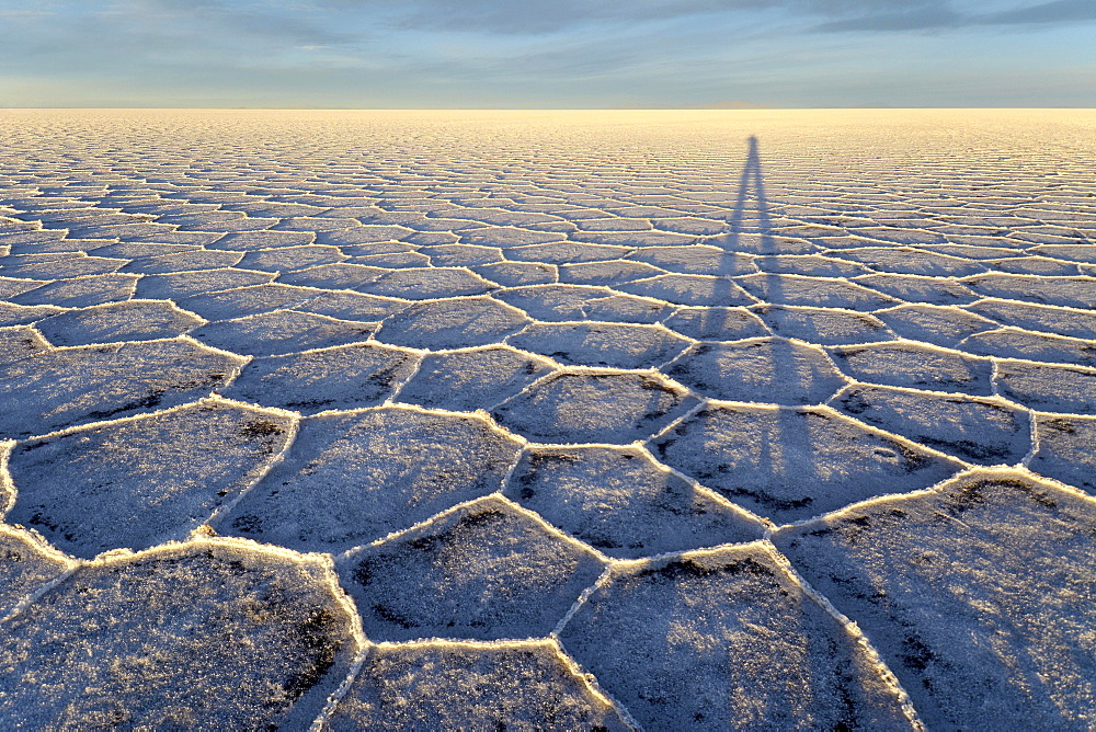 Photographer's shadow on honeycomb structure of Salar de Uyuni, salt flat, morning light, Altiplano, Lipez, Bolivia, South America