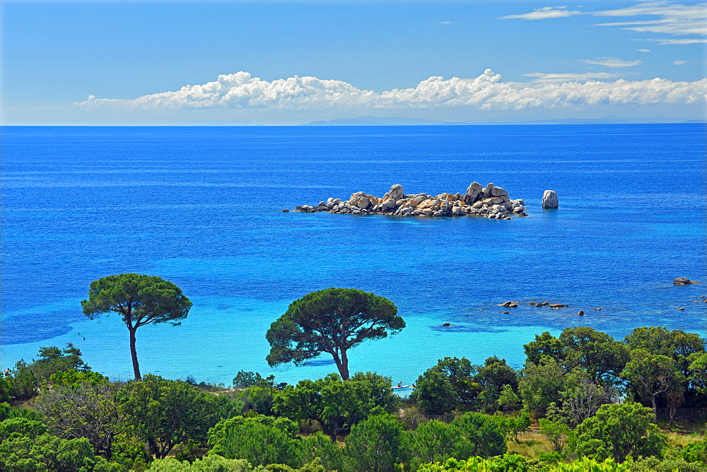 Bay of Palombaggia with turquoise blue sea, Porto Vecchio, Corse-du-Sud department, Corsica, France, Europe