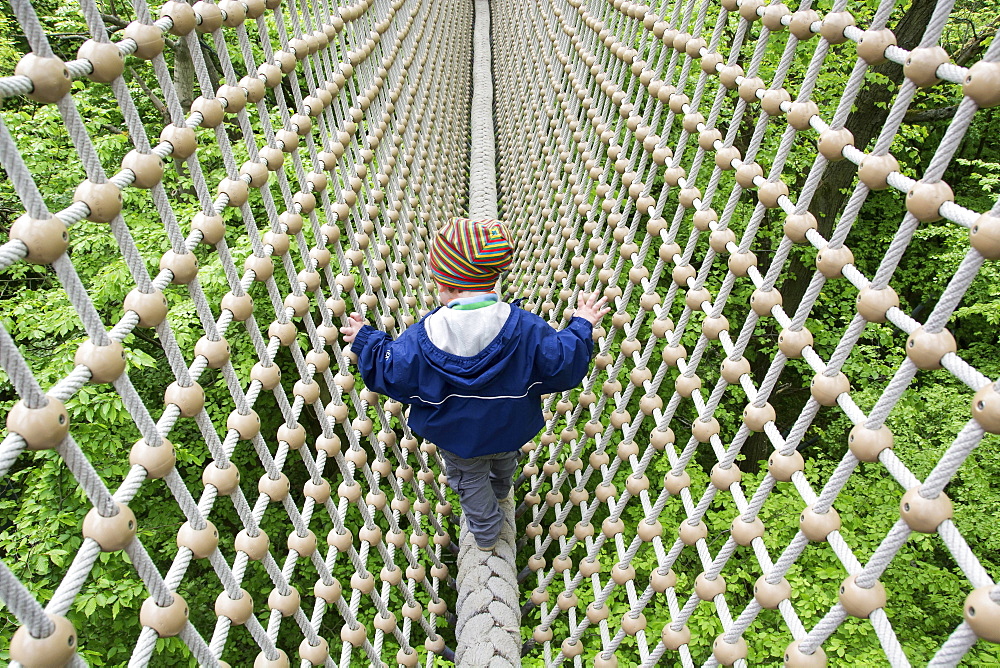 Toddler, 3 years, walking over a secured rope above treetops, Hainich Tree Top Walk, Hainich National Park, Thuringia, Germany, Europe