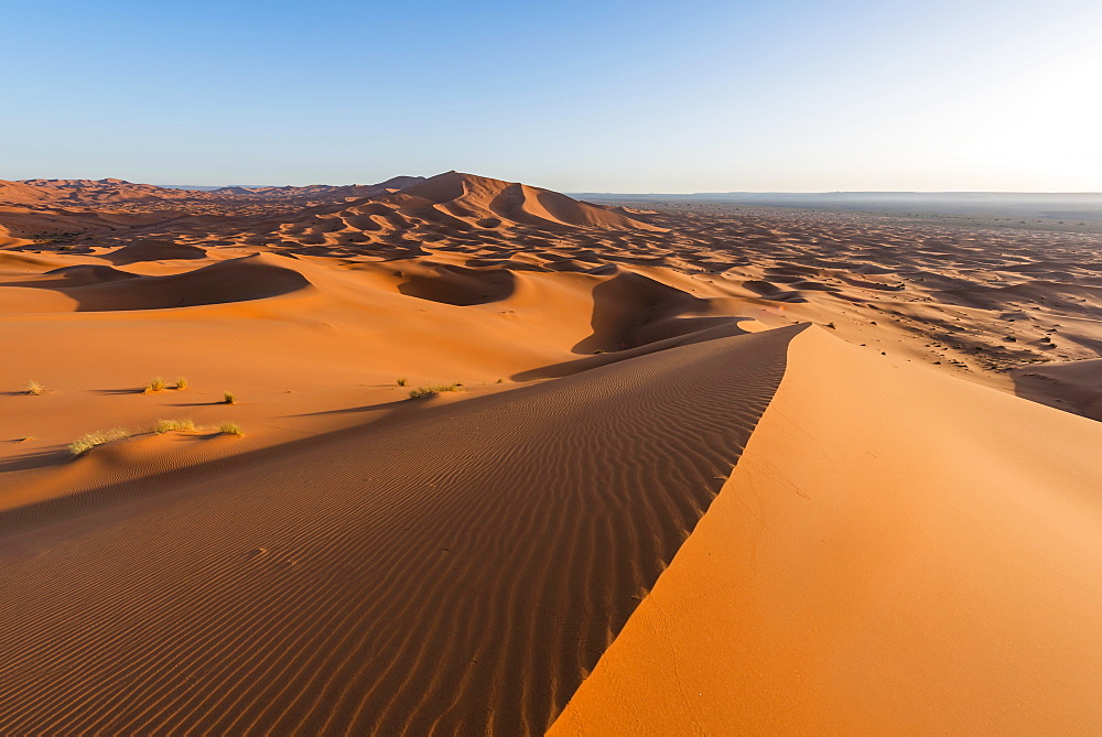 Red sand dunes in the desert, dune landscape Erg Chebbi, Merzouga, Sahara, Morocco, Africa