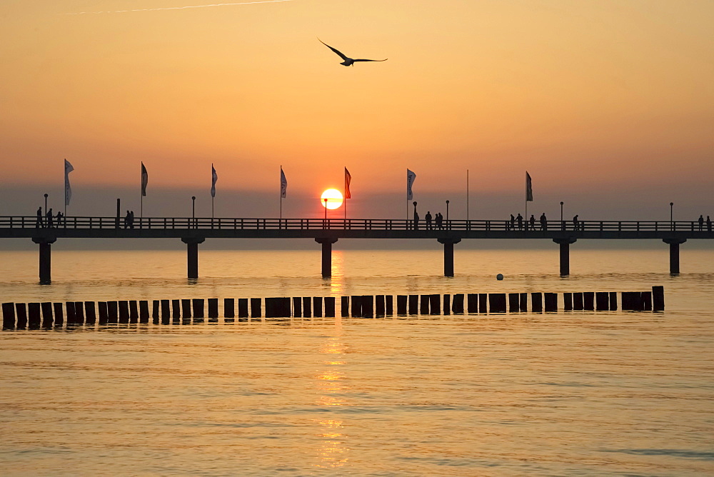 Breakwaters or groynes, pier, sunset, Baltic Sea, Zingst, Fischland-Darß-Zingst peninsula, Mecklenburg-Western Pomerania, Germany, Europe