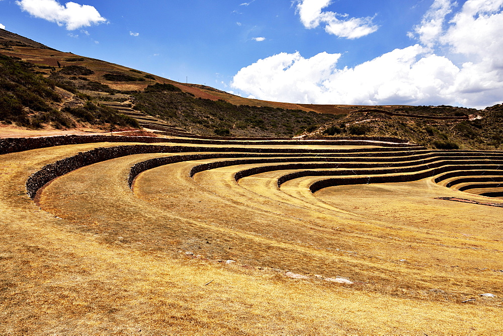 Inca terraces in the Sacred Valley, agriculture, Moray, Ollantaytambo, Peru, South America