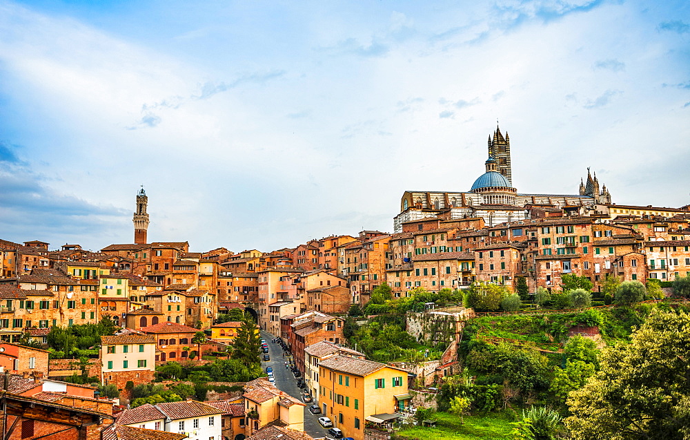 Historic centre with the cathedral Cattedrale di Santa Maria Assunta, and Torre del Mangia, Siena, Tuscany, Italy, Europe