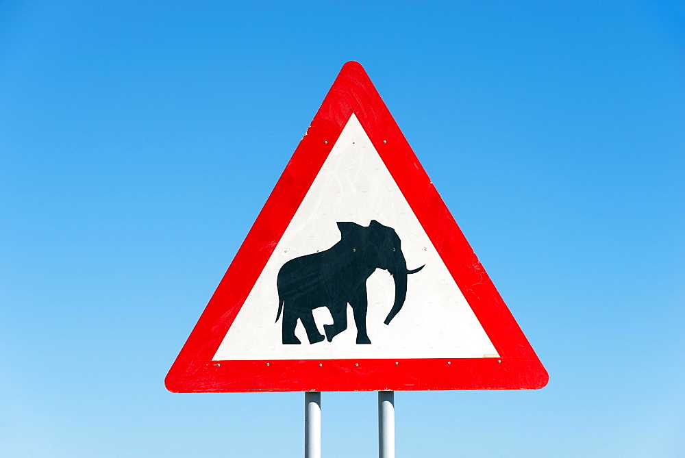 Sign, beware elephants, near Opuwo, Namibia, Africa