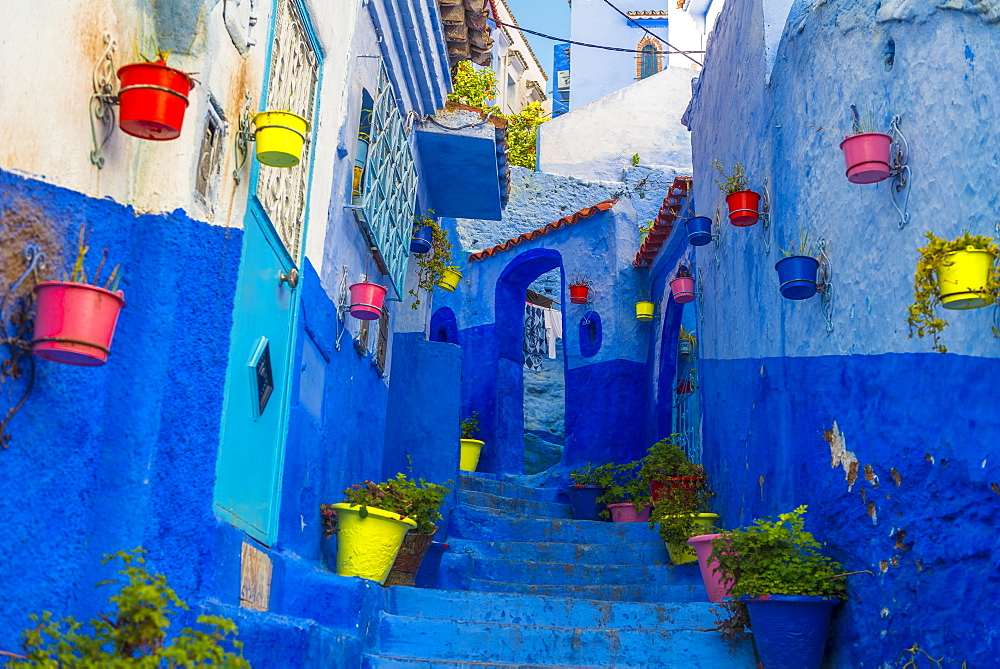 Narrow alley with colorful flowerpots, blue houses, Medina of Chefchaouen, Chaouen, Tangier-Tétouan, Morocco, Africa