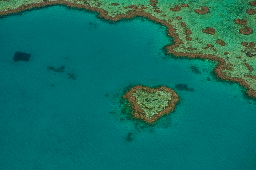 Aerial view, Heart Reef, Great Barrier Reef, UNESCO World Heritage Site, Queensland, Australia, Oceania