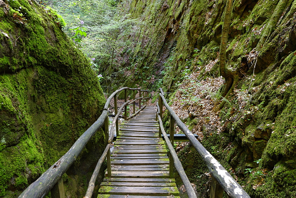 Rastenbachklamm, at Altenburg, Kaltern, Uberetsch, South Tyrolean Unterland, South Tyrol, Italy, Europe