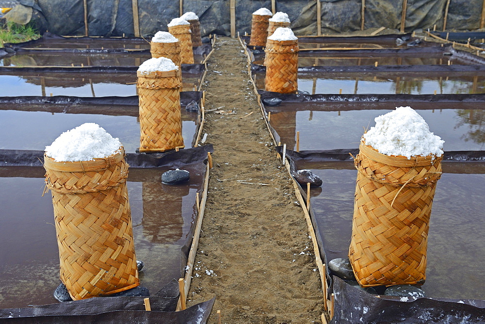 Harvested sea salt, packed to dry, known as Fleur de Sel, North Bali, Bali, Indonesia, Asia