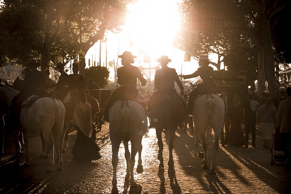 Rider on horses with traditional clothes, back light, Feria de Abril, Seville, Andalucia, Spain, Europe