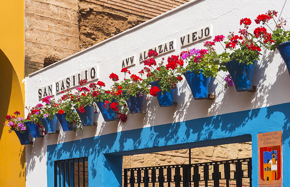 Red geraniums in blue flowerpots on a house wall, Fiesta de los Patios, Cordoba, Andalucia, Spain, Europe