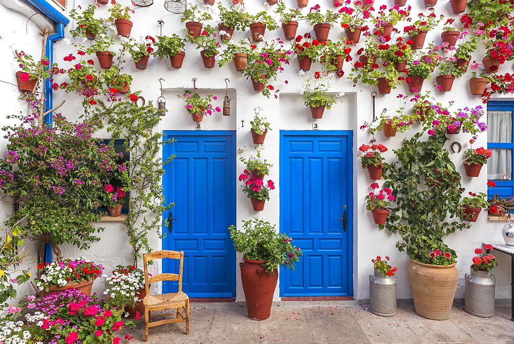 Blue front doors with many red geraniums in flowerpots on a house wall, Fiesta de los Patios, Cordoba, Andalusia, Spain, Europe