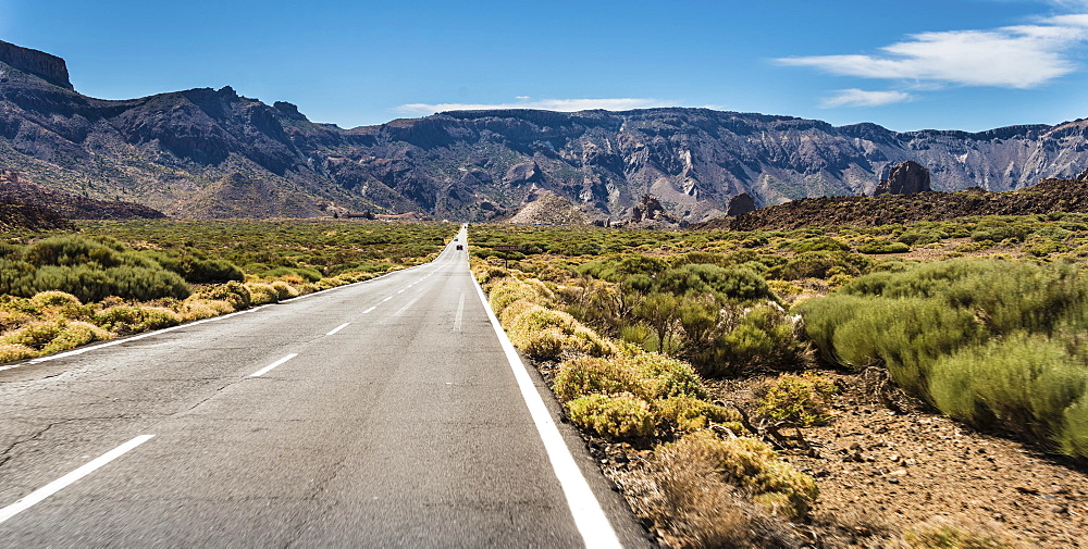 Road through volcanic landscape, plateau Llano de Ucanca with shrubs, Parque Nacional de las Canadas del Teide, Teide National Park, UNESCO World Heritage Site, Tenerife, Canary Islands, Spain, Europe