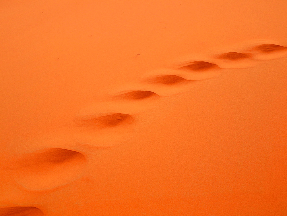 Camel tracks in the desert sand, Erg Chebbi desert, near Merzouga, Morocco, Africa