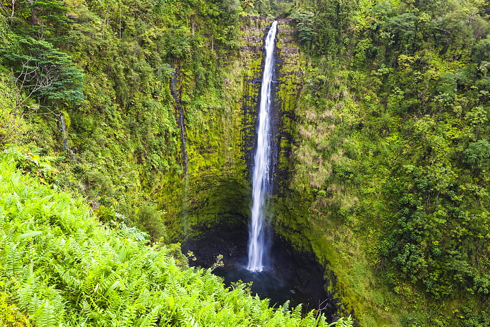 Akaka Falls, Akaka Falls State Park, Big Island, Hawaii, United States, North America