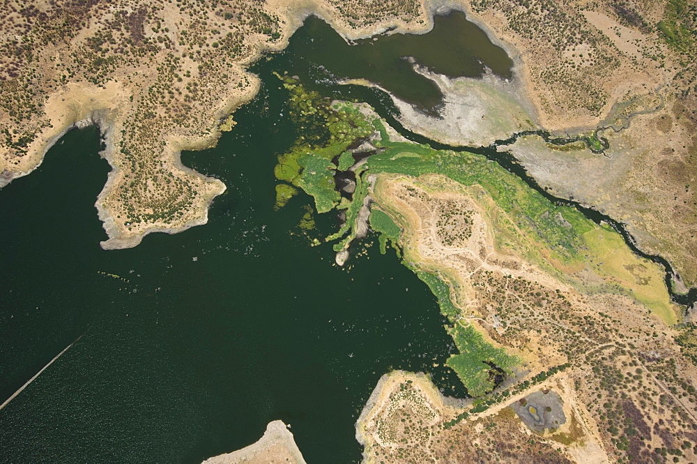 Aerial view, lake shore, wetland, Quixada area, Ceara, Brazil, South America