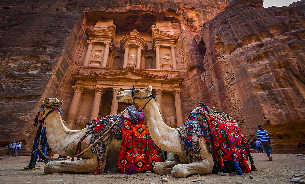 Dromedaries in front of the Pharaoh's treasure house carved out of rock, facade of the Al-Khazneh treasure house, Khazne Faraun, mausoleum in the Nabataean city of Petra, near Wadi Musa, Jordan, Asia