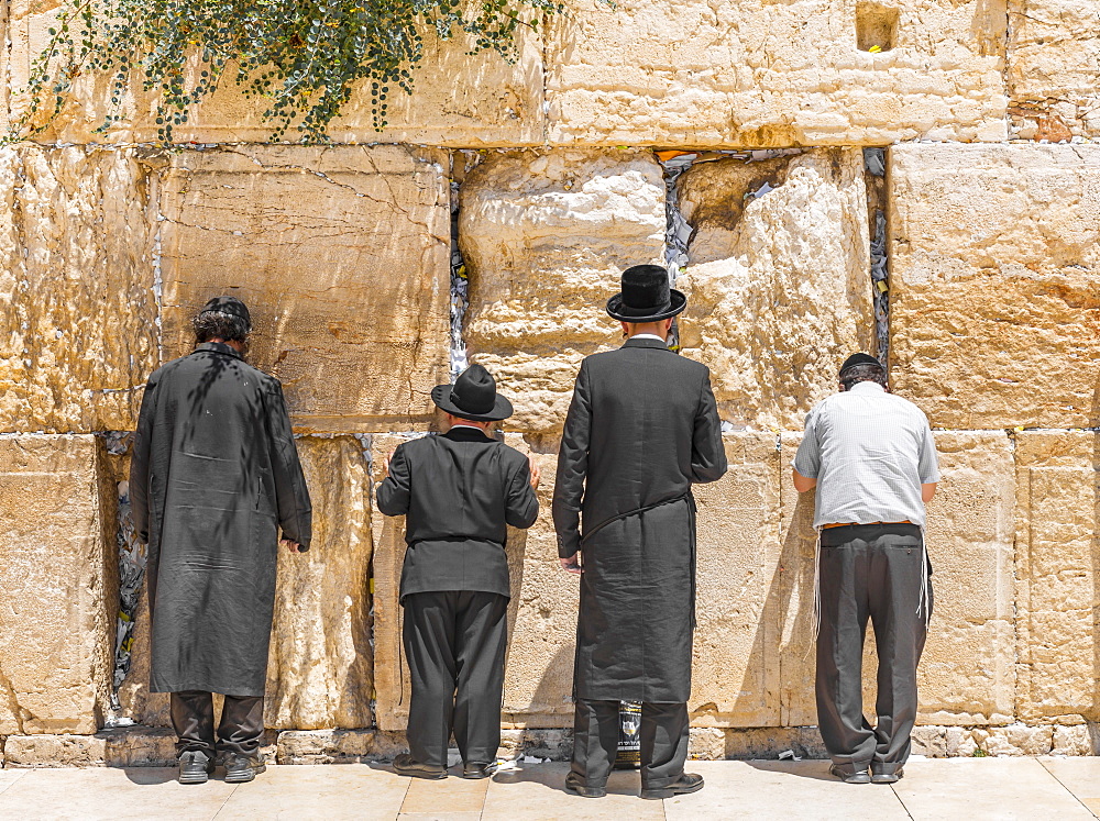 Praying Orthodox Jews at the Wailing Wall, Jerusalem, Israel, Asia