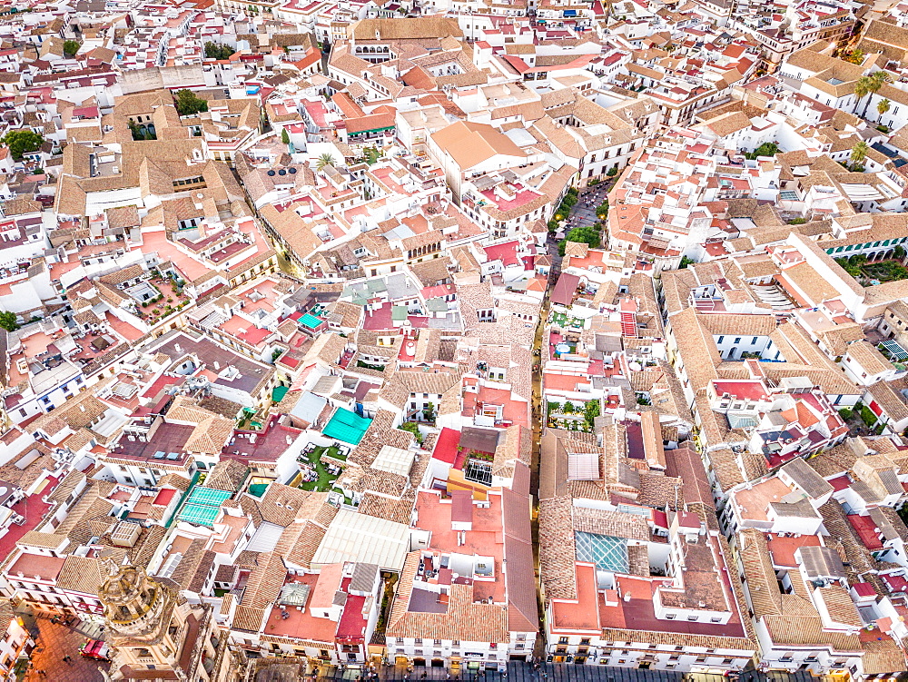Aerial view of houses in the strict city center of Cordoba, Andalusia, Spain, Europe