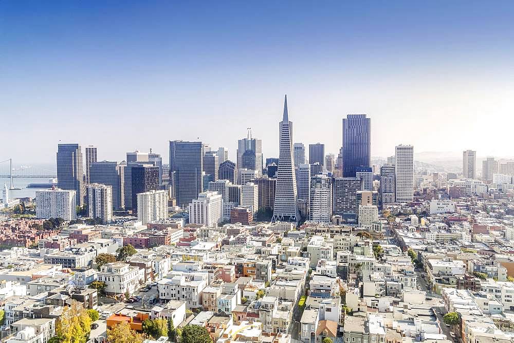 Skyline, downtown with business and residential district, San Francisco, California, USA, North America