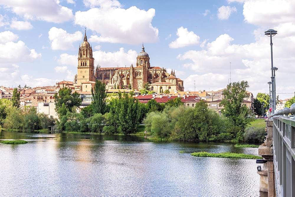 Tormes river with cathedral, Salamanca, Castile and Leon, Spain, Europe