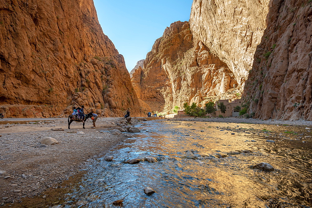 Gorges Toudra or Todgha Gorge, river in gorge of sandstone rocks, Ait Baha, Tinghir, Morocco, Africa