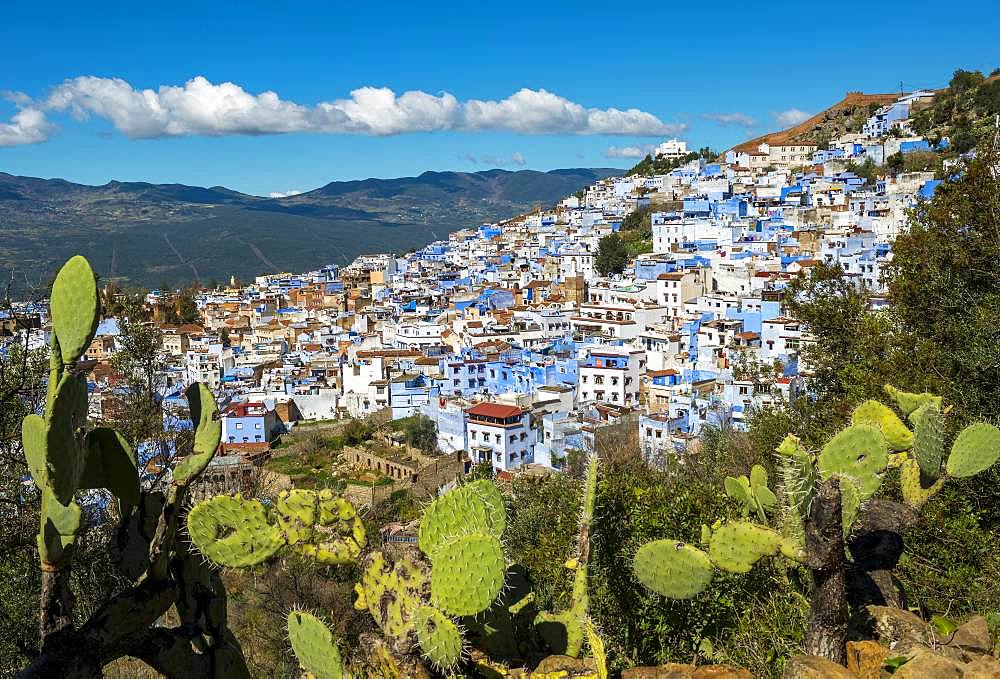 View on blue houses of the medina of Chefchaouen, Chaouen, reef mountains, Tangier-Tetouan, Morocco, Africa