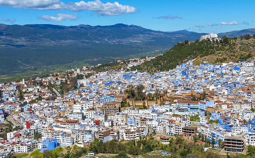 View on blue houses of the medina of Chefchaouen with Kasbah, Chaouen, reef mountains, Tangier-Tetouan, Morocco, Africa