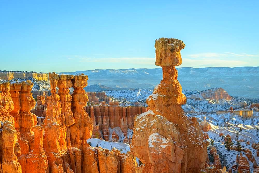 Rock formation Thors Hammer, morning light, bizarre snowy rock landscape with Hoodoos in winter, Navajo Loop Trail, Bryce Canyon National Park, Utah, USA, North America