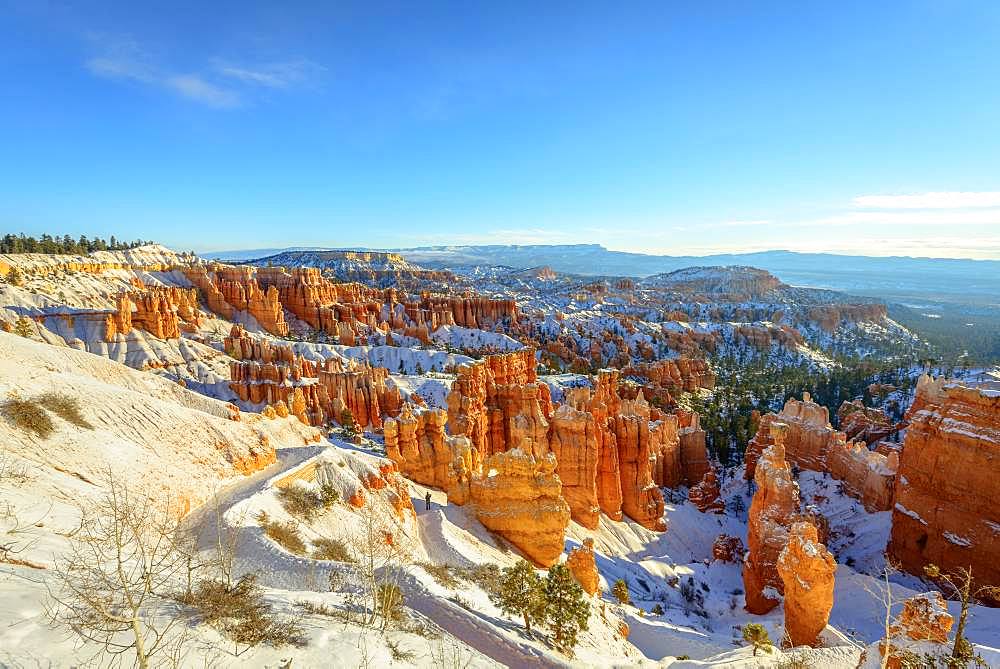 Morning light, snow-covered bizarre rocky landscape with Hoodoos in winter, Navajo Loop Trail, Bryce Canyon National Park, Utah, USA, North America