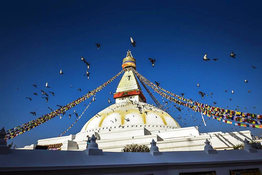 Boudhanath Stupa with birds, Boudha, Tibetan Buddhism, Kathmandu, Nepal, Asia