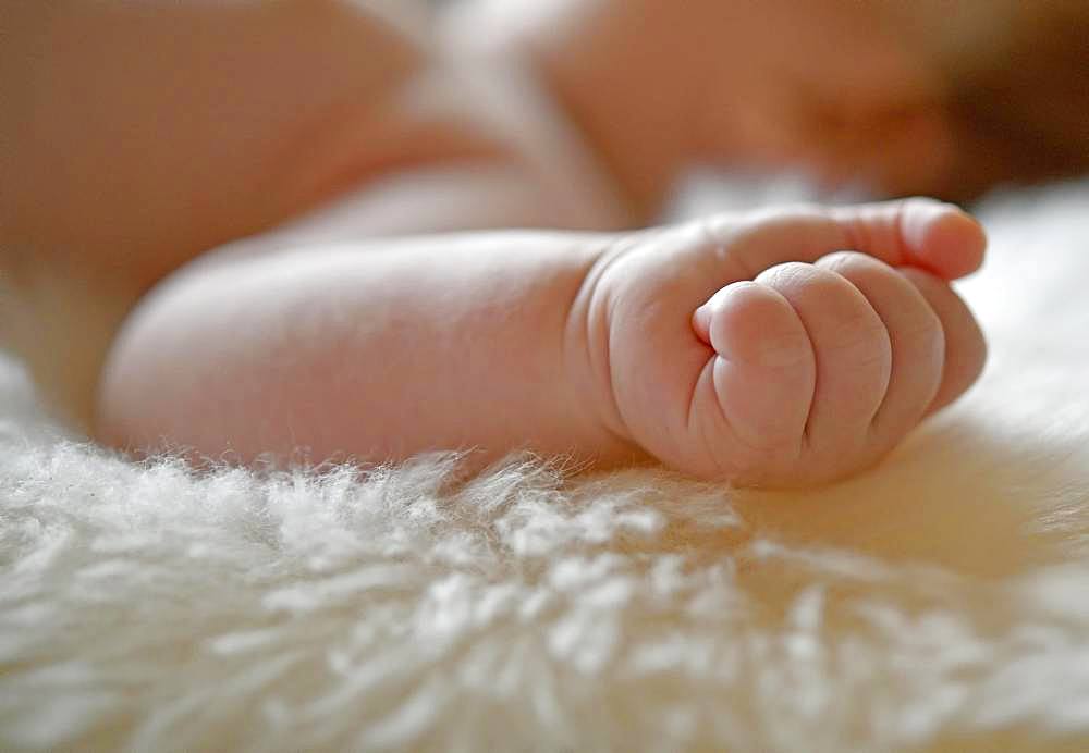 Infant, three months, detail view, hand lies on fur, Baden-Wuerttemberg, Germany, Europe