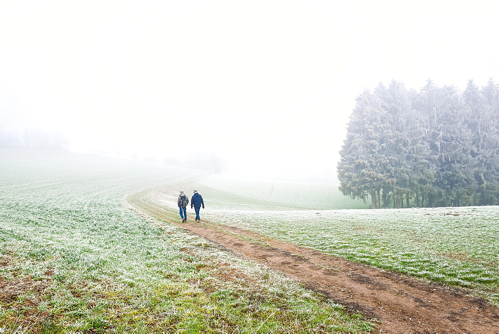 Two hikers on their way through fog landscape, Odenwald, Germany, Europe