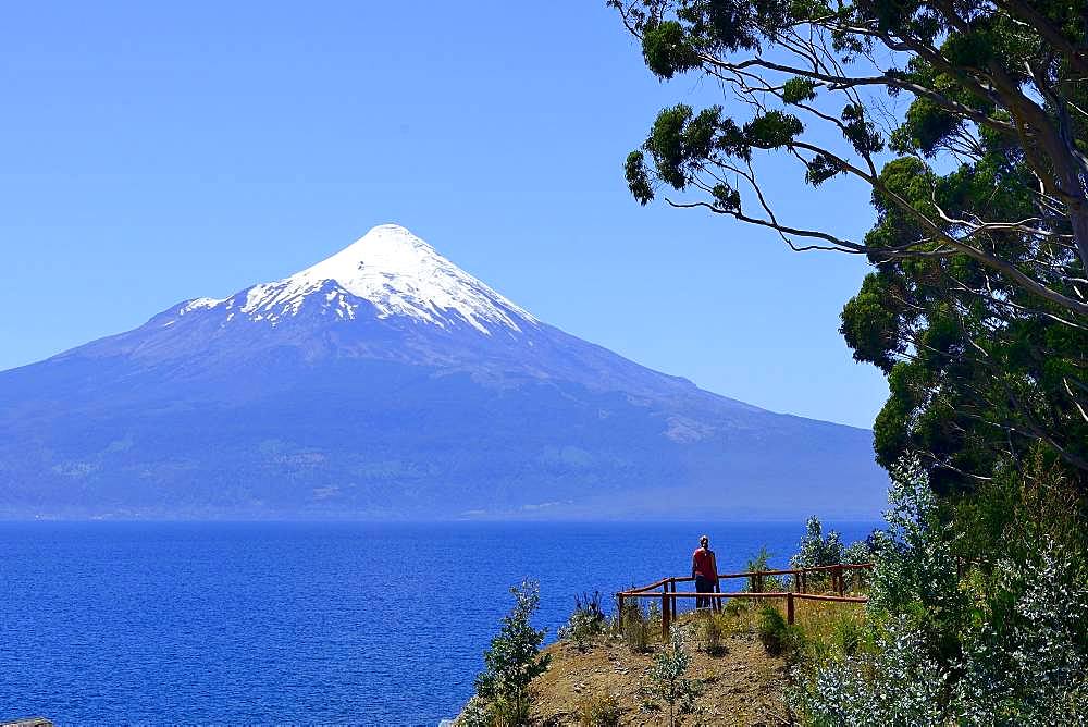 Volcano Osorno with snow cap at Lago Llanquihue, Region de los Lagos, Chile, South America